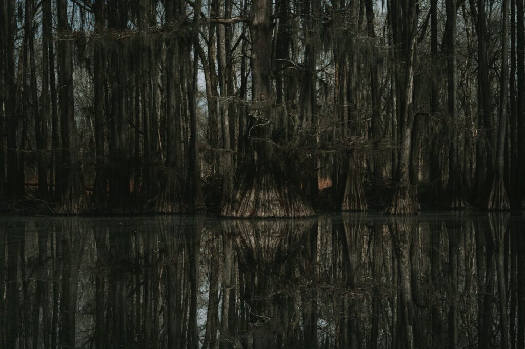 Green Swamp Murder Stewart Homestead