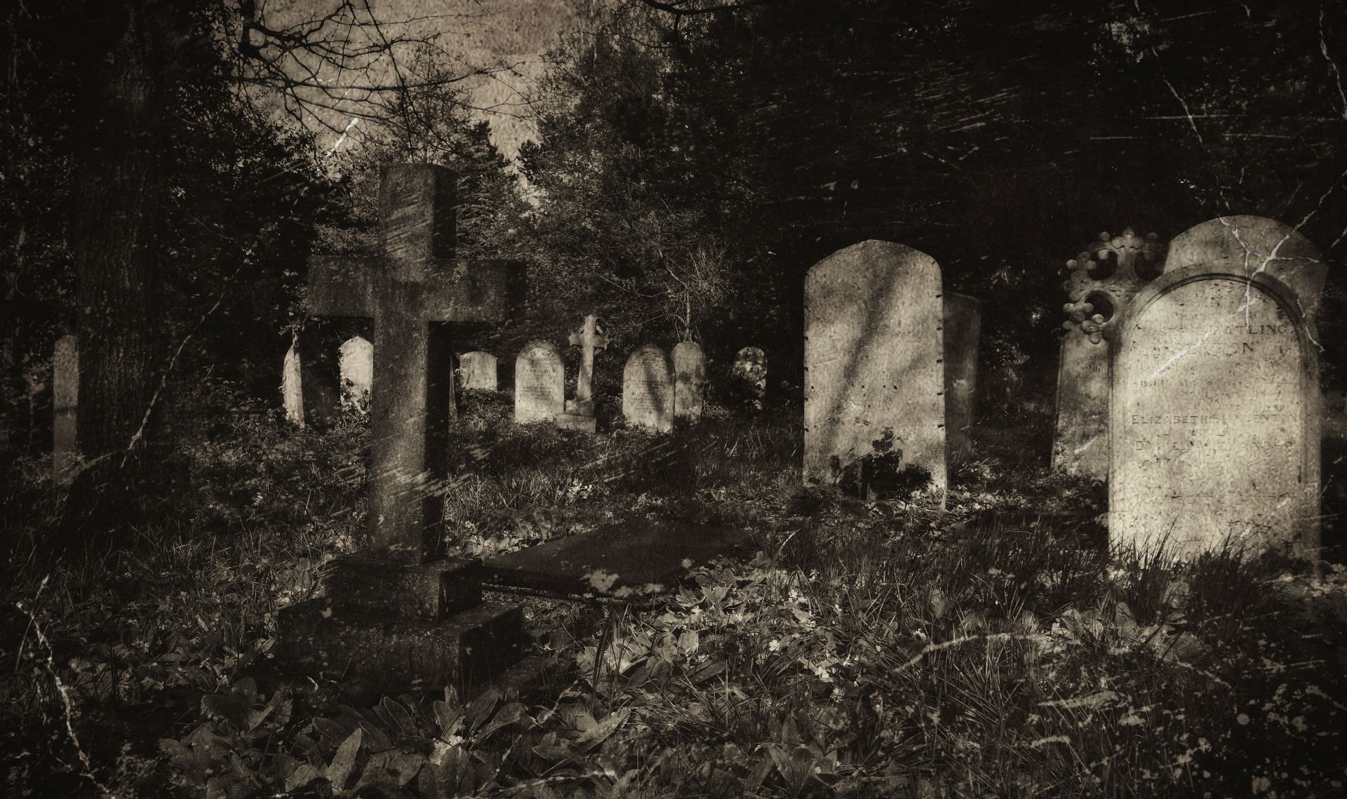 Ancient weathered gravestones in an overgrown cemetery