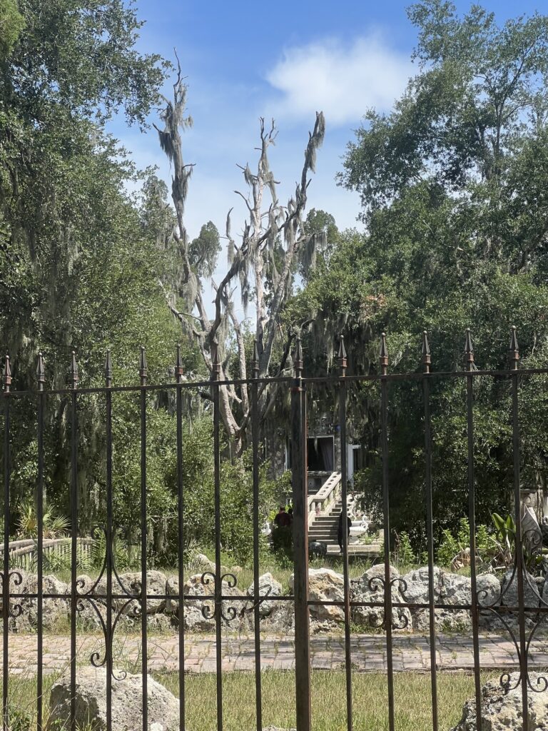 Wrought iron gate and dead moss-covered tree in front of the Wonder House in Bartow, Florida